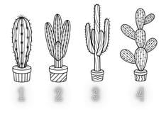 Descubre un importante mensaje que beneficiará tu ser interior al seleccionar un cactus