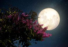 Calendario lunar mayo 2024: fecha y ver las fases de la llamada Luna de las Flores