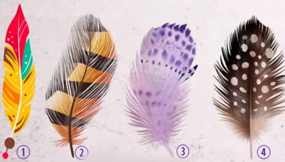 TEST VISUAL | En esta imagen se aprecian varias plumas. Escoge una. (Foto: namastest.net)